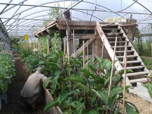 picture_client_format_2_c91c2d